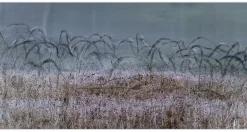 XXL Öl Gemälde 'Grains of Vitality' | Handgemaltes Unikat
