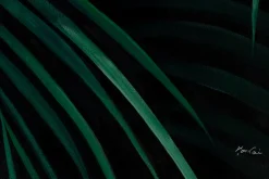 XXL Öl Gemälde 'Hidden in the Jungle' | Handgemaltes Unikat