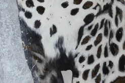 XXL Öl Gemälde 'Hoheit des Leoparden' | Handgemaltes Unikat