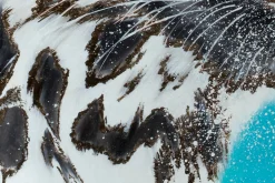 XXL Öl Gemälde 'Im Auge des Leoparden' | Handgemaltes Unikat
