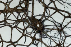 XXL Öl Gemälde 'Inside the Mind' | Handgemaltes Unikat