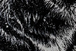 XXL Öl Gemälde 'Lion's Majesty' | Handgemaltes Unikat