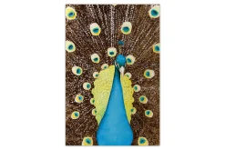 XXL Öl Gemälde 'Magic Peacock' | Handgemaltes Unikat