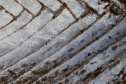 XXL Öl Gemälde 'Muster des Lebens' | Handgemaltes Unikat