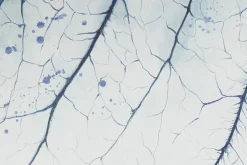 XXL Öl Gemälde 'Nature's Fascination' | Handgemaltes Unikat