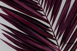 XXL Öl Gemälde 'Purple Jungle Dreams' | Handgemaltes Unikat