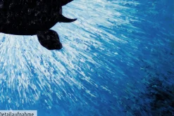 XXL Öl Gemälde 'Sam, the Turtle' | Handgemaltes Unikat