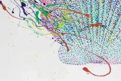 XXL Öl Gemälde 'Schmuck der Venus' | Handgemaltes Unikat