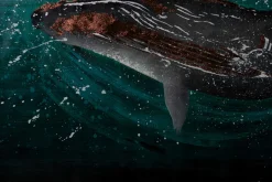 XXL Öl Gemälde 'Sea Splash' | Handgemaltes Unikat