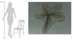 XXL Öl Gemälde 'Stern des Meeres' | Handgemaltes Unikat