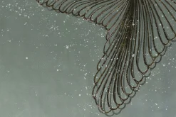 XXL Öl Gemälde 'Stern des Meeres' | Handgemaltes Unikat