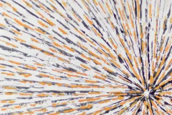 XXL Öl Gemälde 'Sunlit Spider Web' | Handgemaltes Unikat