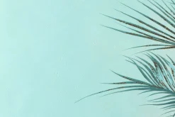 XXL Öl Gemälde 'Tropical Soul' | Handgemaltes Unikat
