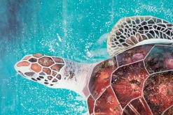 XXL Öl Gemälde 'Turquoise Turtle' | Handgemaltes Unikat