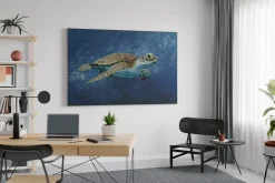XXL Öl Gemälde 'Turtle Adventures' | Handgemaltes Unikat