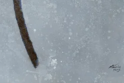 XXL Öl Gemälde 'Winter Miracle' | Handgemaltes Unikat